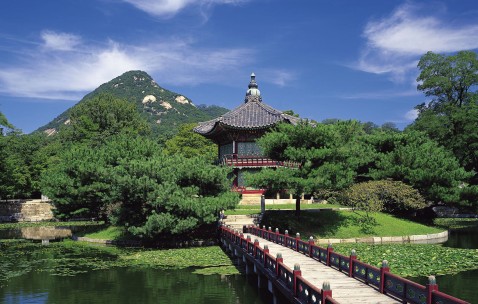 未婚试管国外医院（未婚试管婴儿合法的国家）